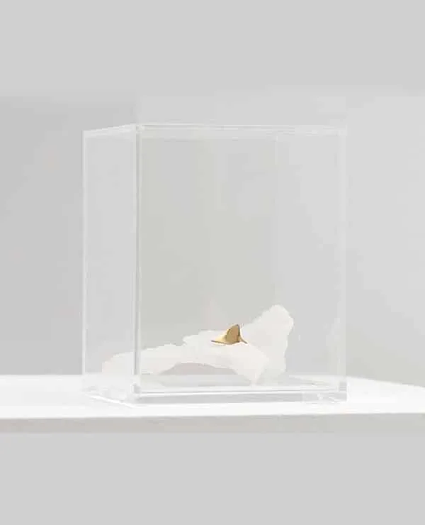 Escultura Série Oceano –  Barbatana de Tubarão