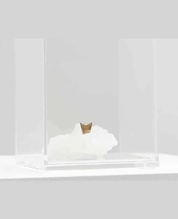 Escultura Série Oceano – Rabo de Peixe