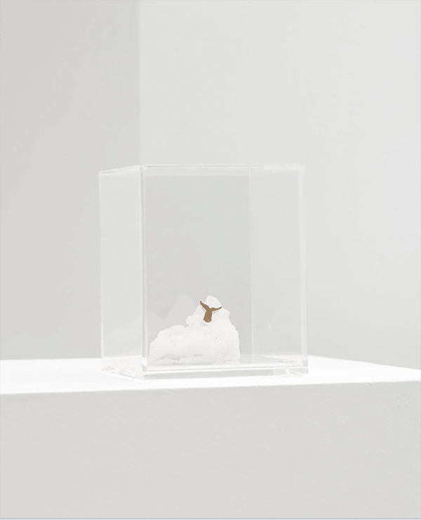 Escultura Série Oceano - Cauda de Baleia