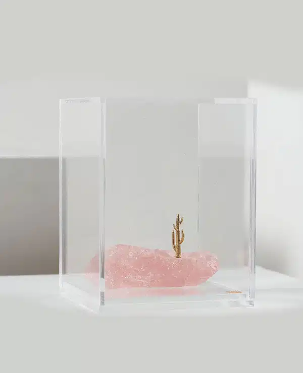 Escultura Série Mandacaru N1