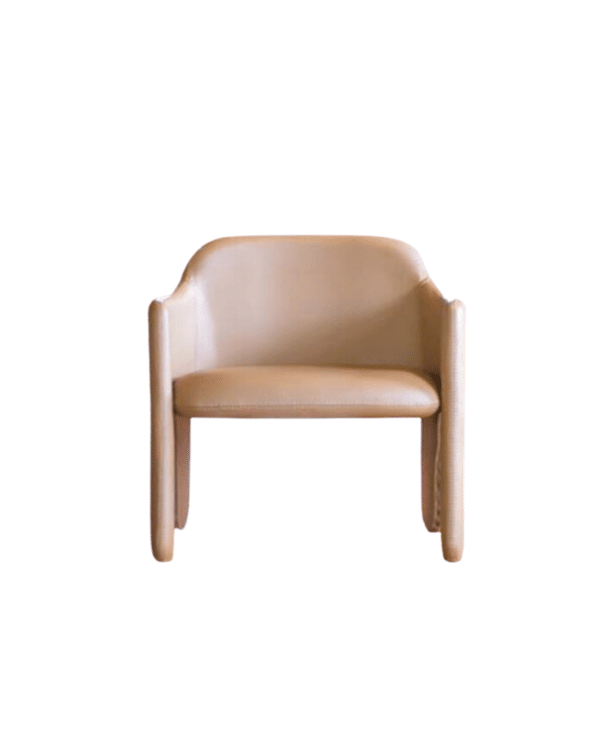 Cadeira Plast com Braço